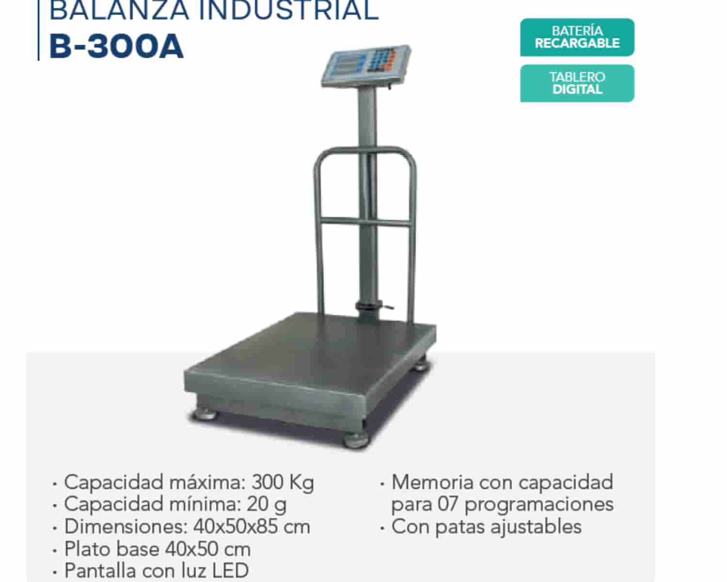 BALANZA INDUSTRIAL - B - 300A